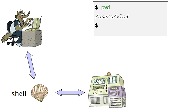 Direct Shell Usage